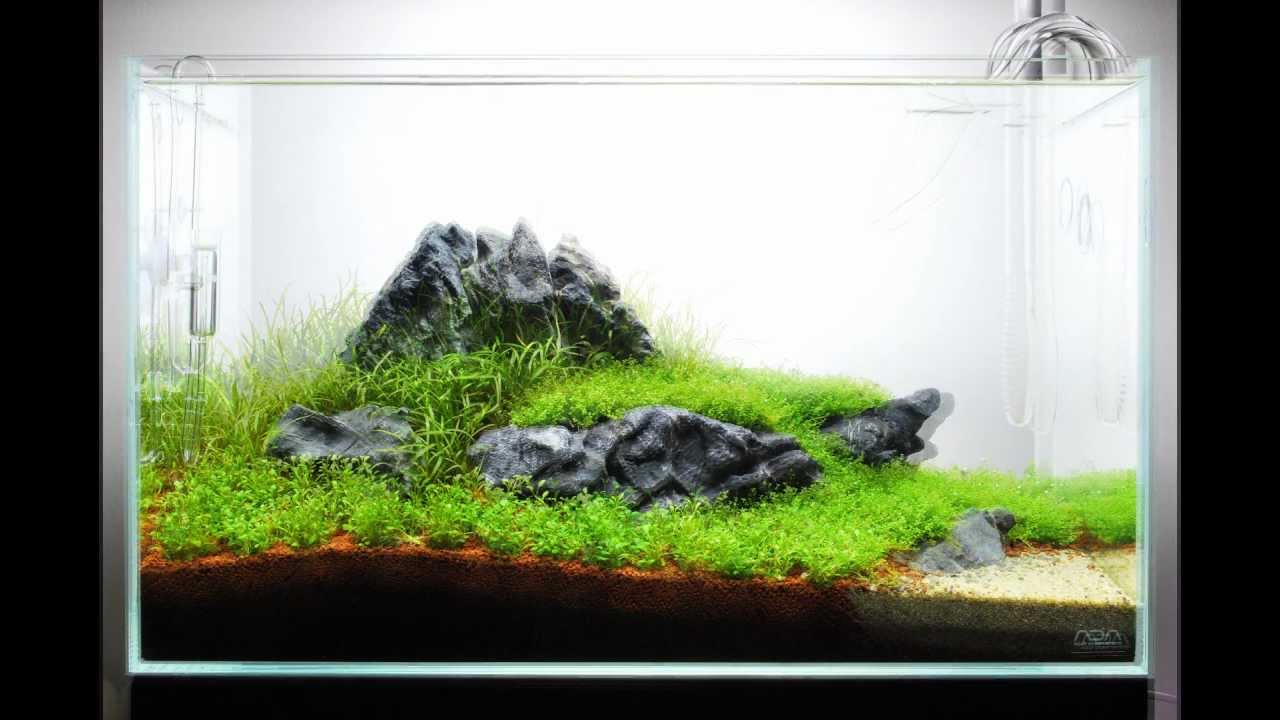 ADA キューブガーデン 60 【公式通販】