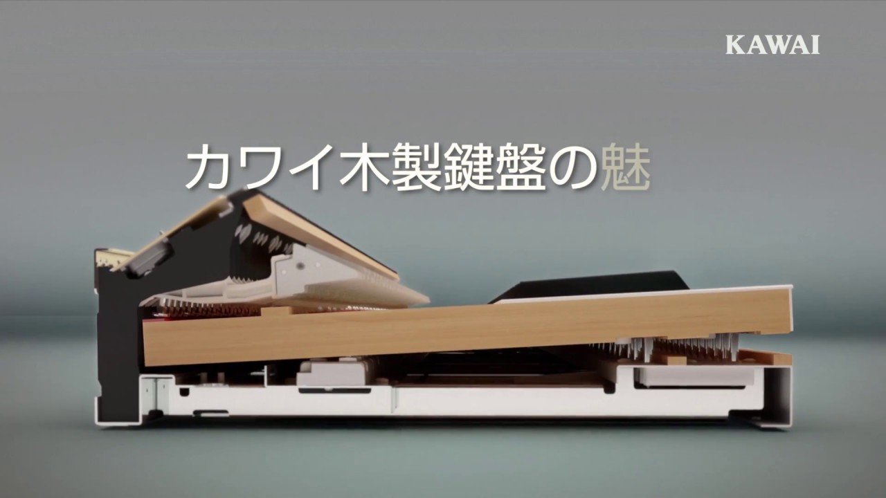 KAWAI ( 河合楽器製作所 ) CA48LO 電子ピアノ 送料無料 | サウンドハウス