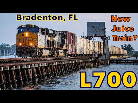 INTERCONTINENTAL EXPRESS トレーラー CSX L700 the NEW Tropicana