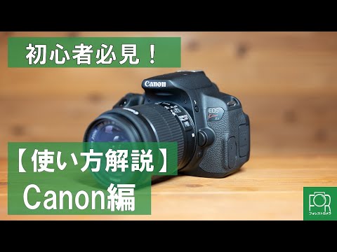 Black Friday】一眼レフを始める方に Canon digital N Amazon | Canon