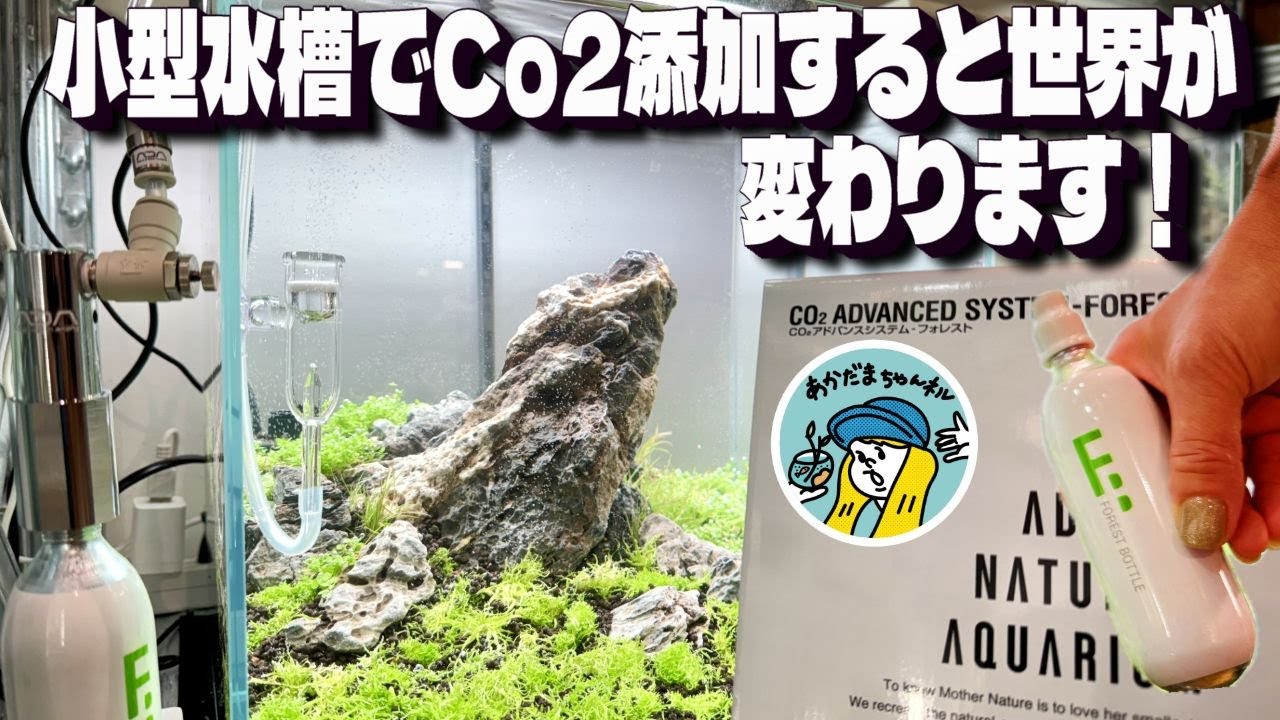 Aquarium] Adding carbon dioxide to a small aquarium tank can make