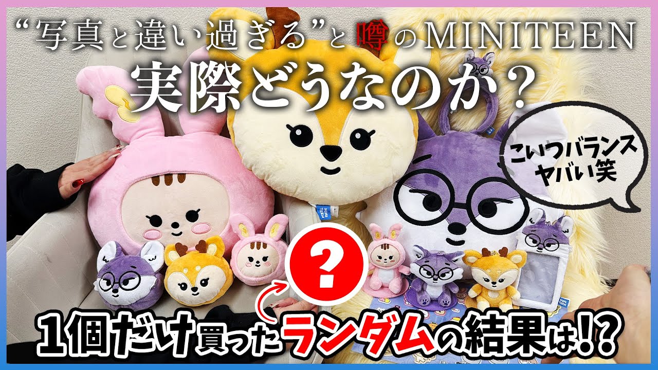 MINITEEN ミニティーン チャンダリ ぬいぐるみ セブチ/開封】MINITEEN