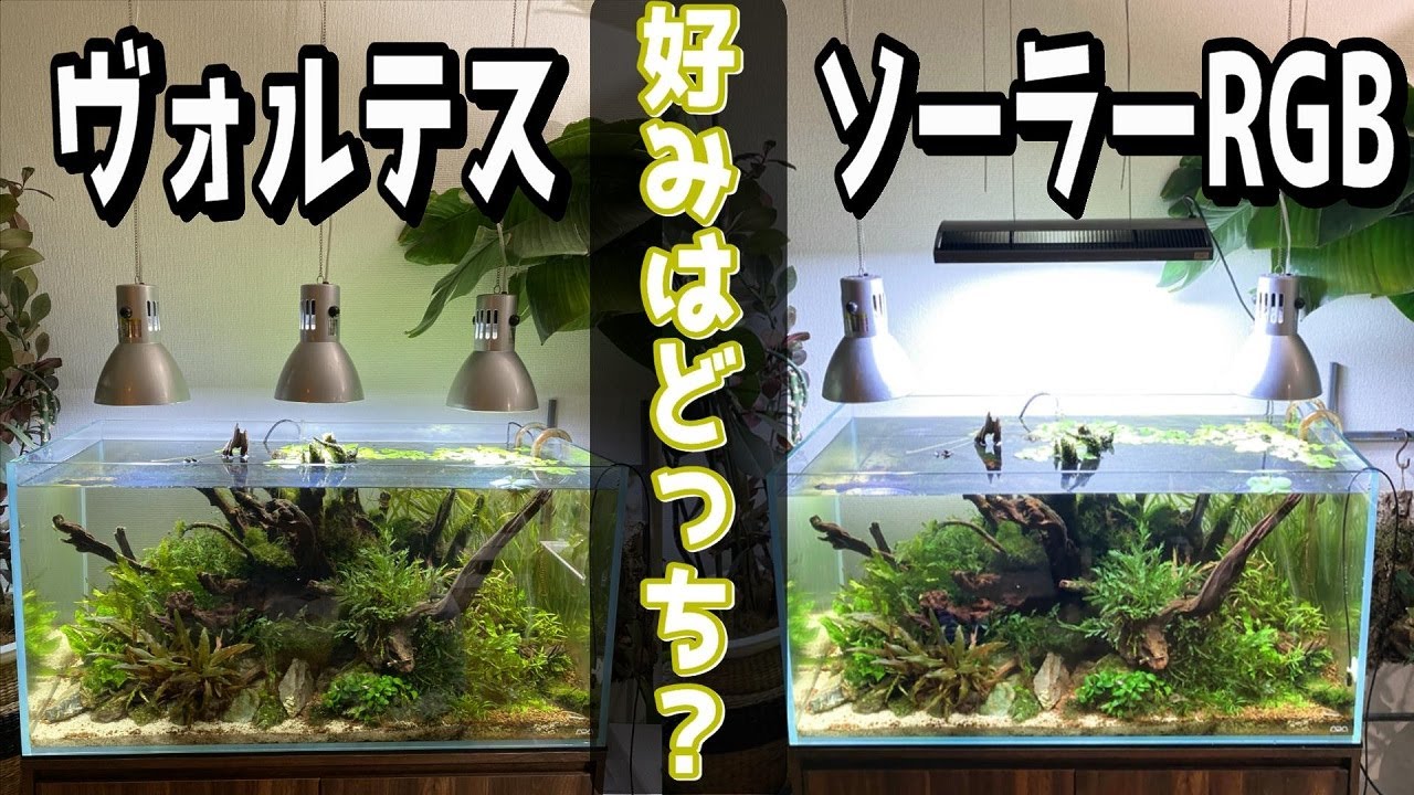 アクアリウム】水草水槽にADAソーラーRGBを設置していこう（ヴォルテス