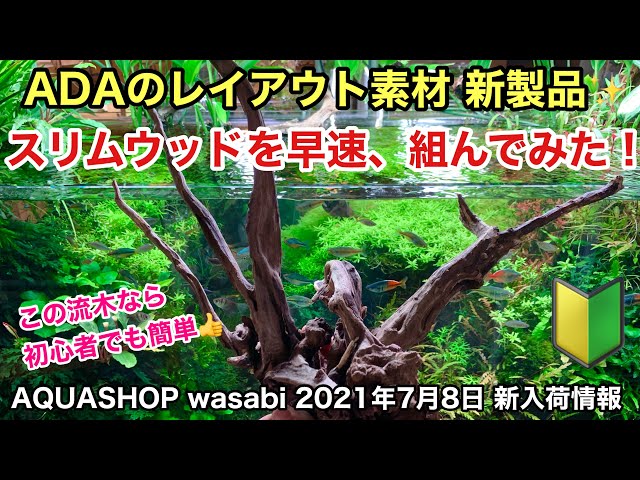 新製品！ADAスリムウッド流木を早速組んでみた！AQUASHOP