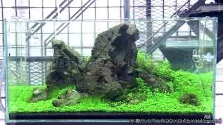 ADAview] AJ224連動 90cm水槽 万天石石組レイアウト - YouTube