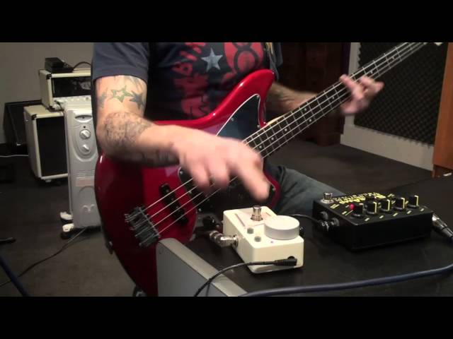 Roger Mayer TC series Voodoo Bass - YouTube