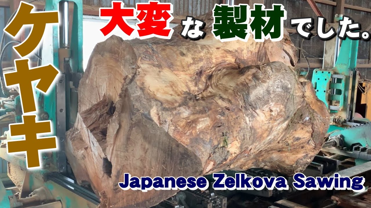 中に大きな穴】凸凹のケヤキ原木を製材【木の店さんもく】Japanese