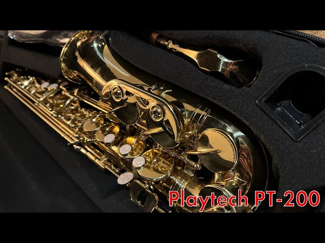 サックスレビュー】Playtech PT-200【SDwinds】 - YouTube