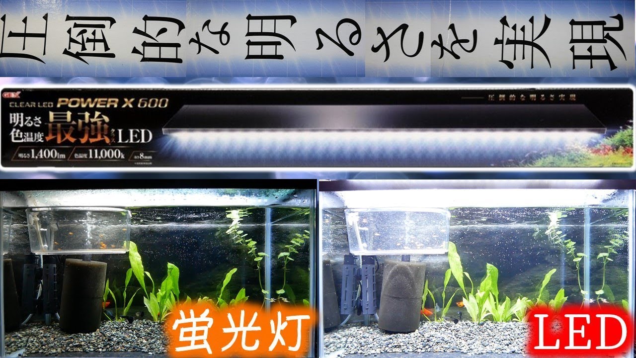 GEX aquarista Clear LED POWER WiFi 600 希少】GEX aquarista POWER