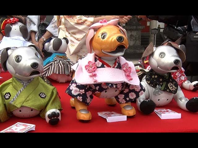 七五三、アイボがお参り - YouTube