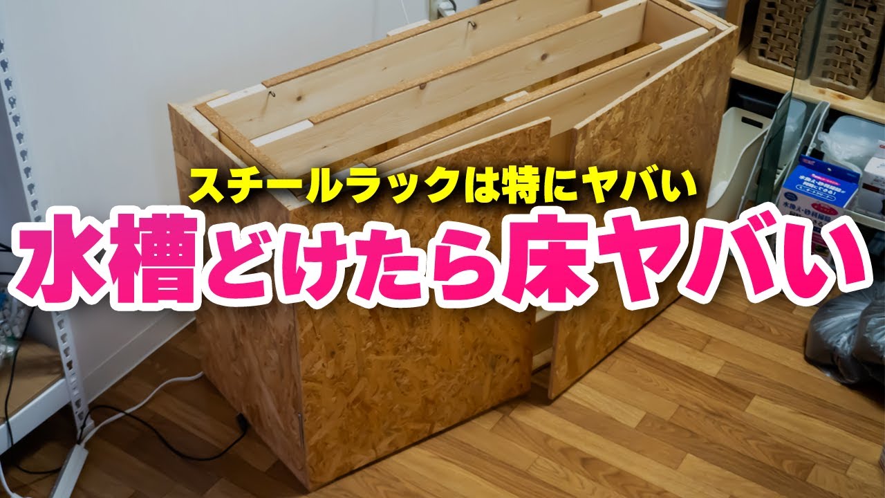 Strong against earthquakes! Introducing a two-tier steel aquarium