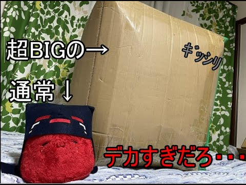 The super-big furball has finally arrived! [Reukura x Village