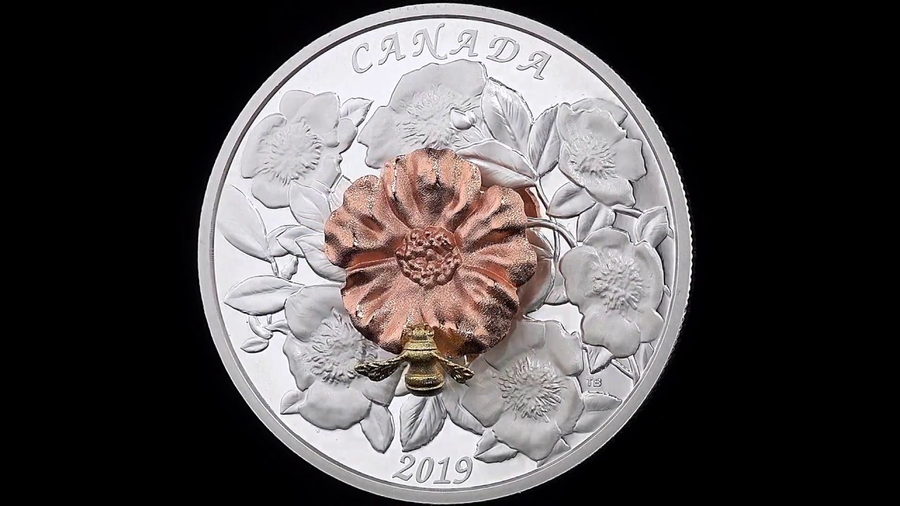 銀貨 トーンドシルバーコイン Gump作No.4