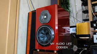 Fostex FW168HR T250D URUSHI Speaker - YouTube