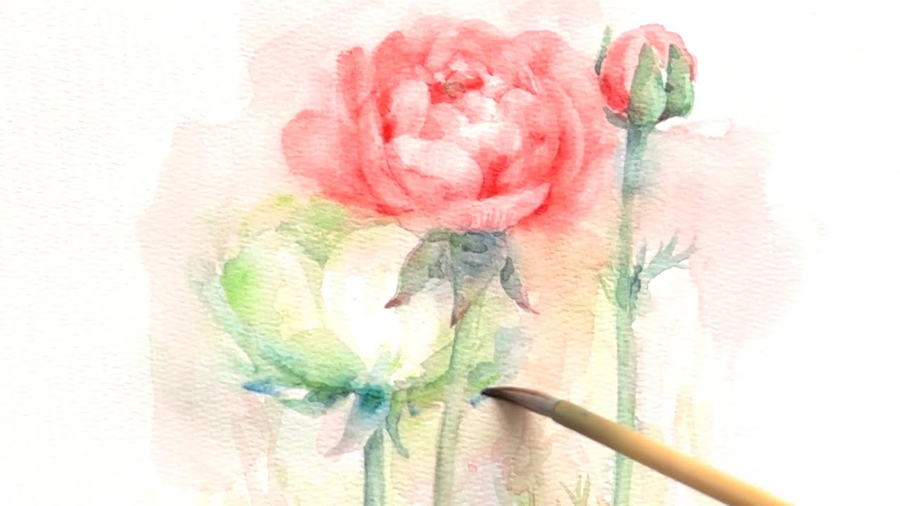 水彩画]ラナンキュラスを描く/watercolorpainting /制作過程 - YouTube
