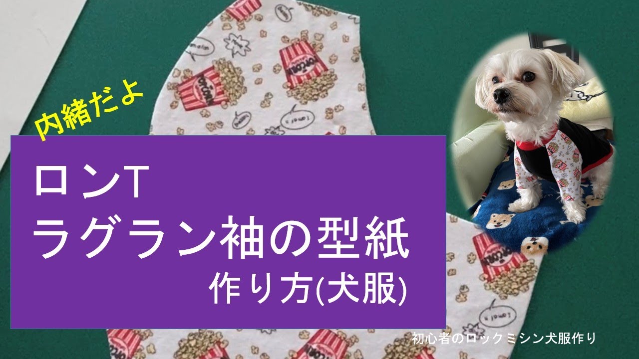 犬服 ラグラン(L) ꒡̈⃝Lily꒡̈⃝ハンドメイド クリスマスカラー