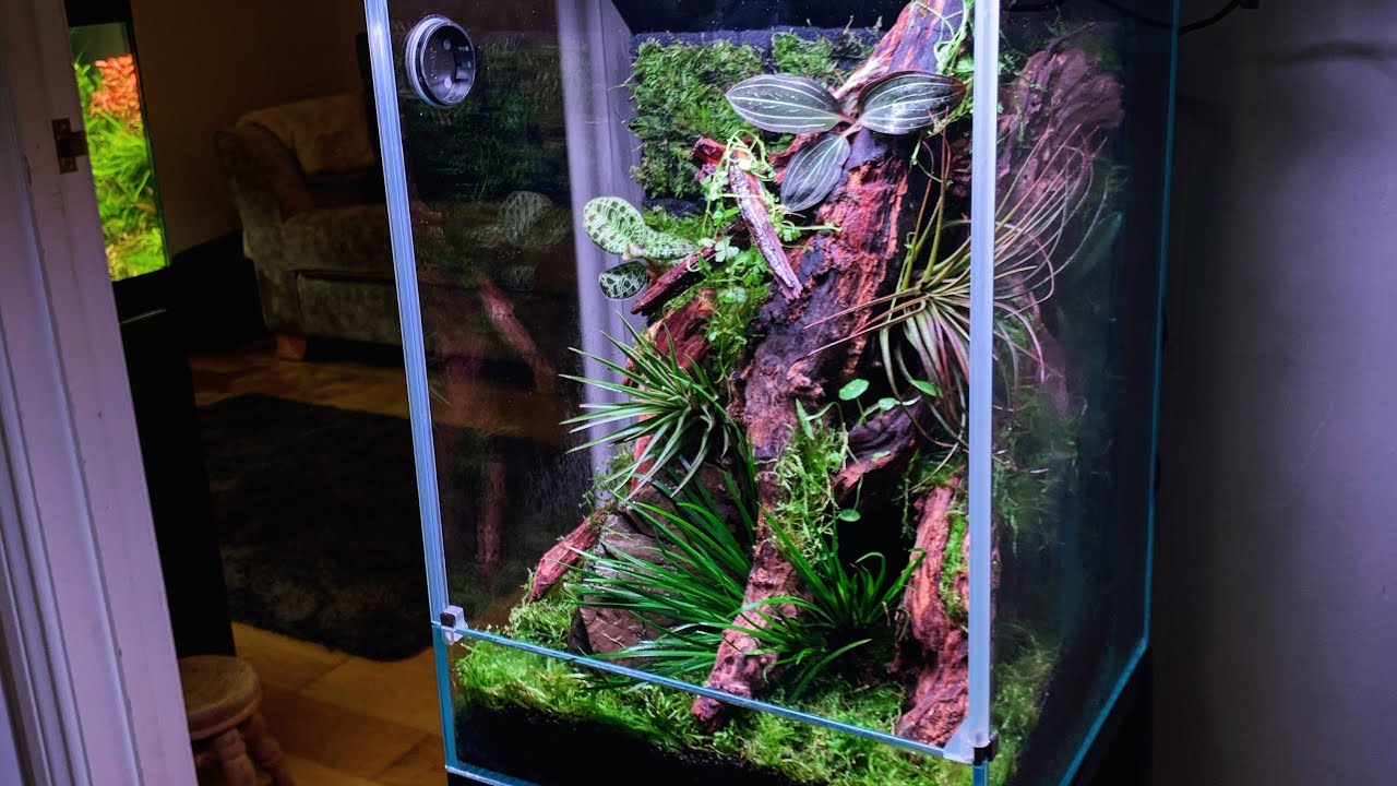 DOOA Paluda 30 - Step by Step - Relaxing - YouTube