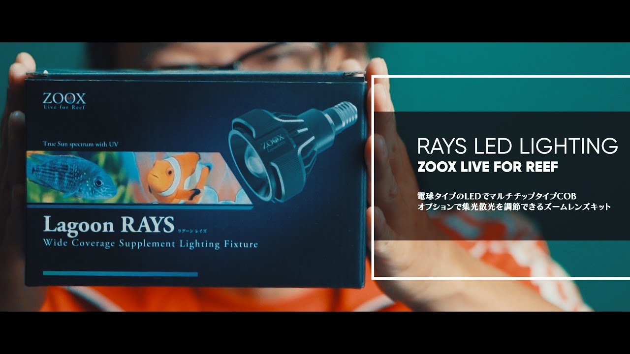 ZOOX Actinic RAYS Spectrum Blue LED サンゴ Introducing ZOOX LED