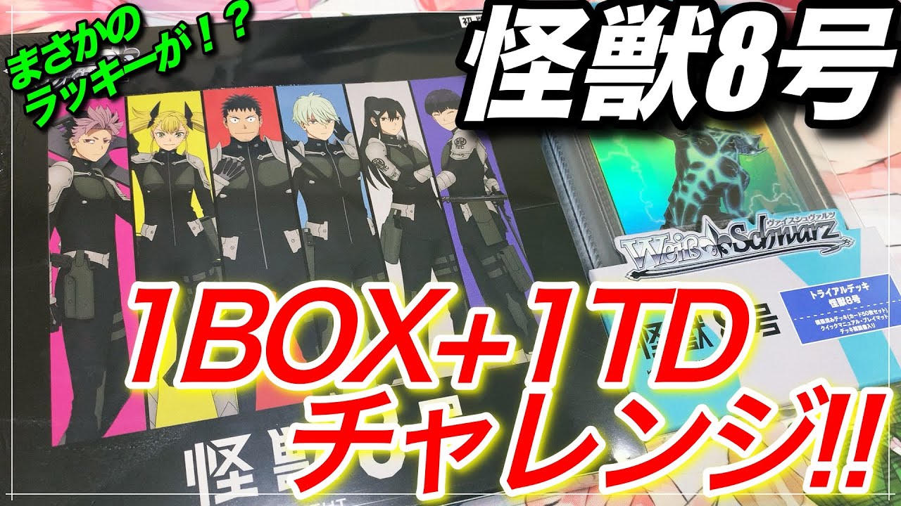 ヴァイスシュヴァルツ 召喚ッ！おっぱぃぃぃぃッ RRR PSA10 2連番セット