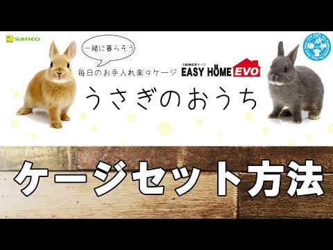 チャーム】うさぎ飼育ケージ♪ SANKOイージーホームエボ80のセットで