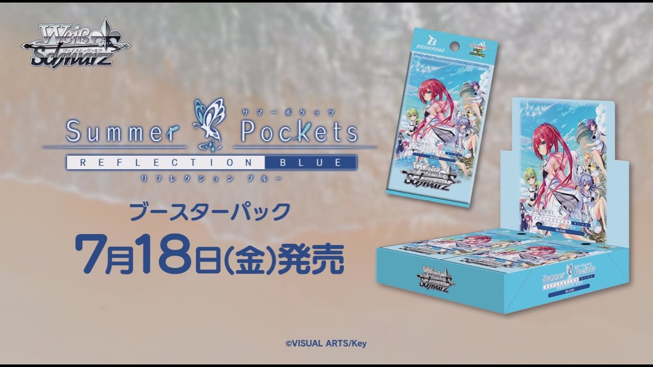 ヴァイス 3箱SummerPocketsREFLECTION Re:Edit 未開封カートン