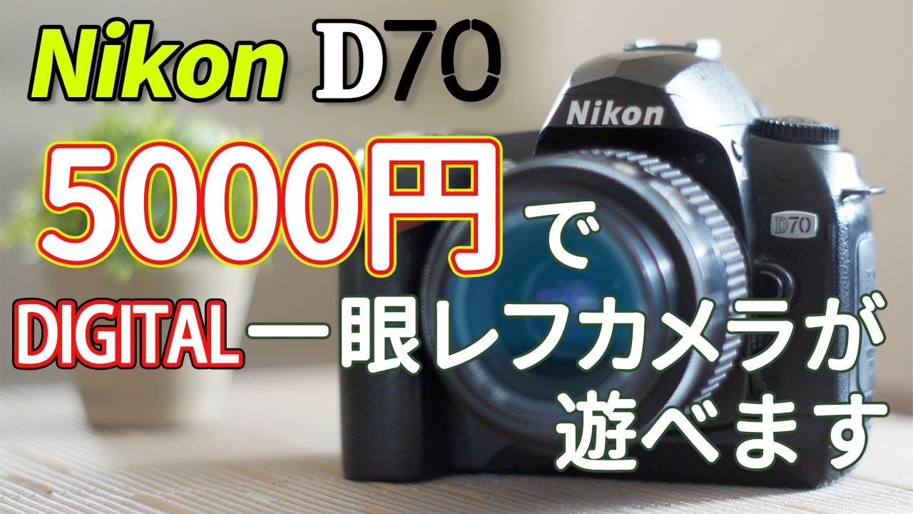 ニコン編】5000円で デジタル一眼レフカメラが遊べます!!☆Nikon D70