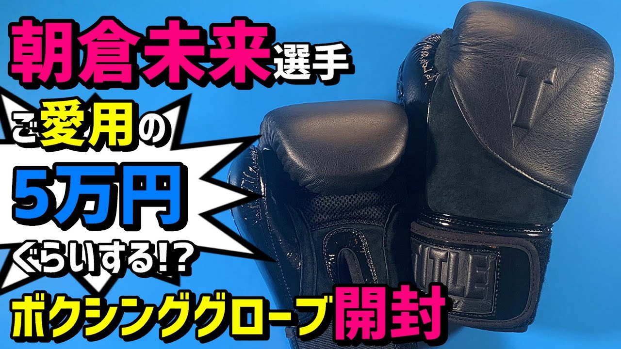 新品未使用】TITLE(タイトル)プロ ファイトグローブ 黒 【公式通販】