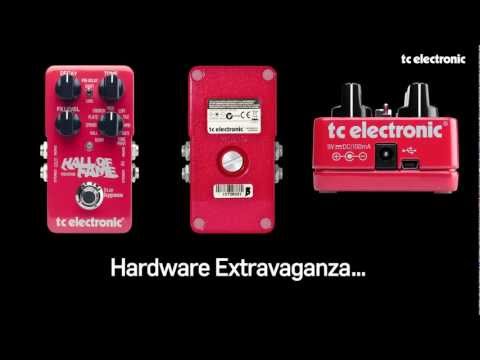 TC Electronic Hall of Fame Reverb Guitar Pedal - YouTube