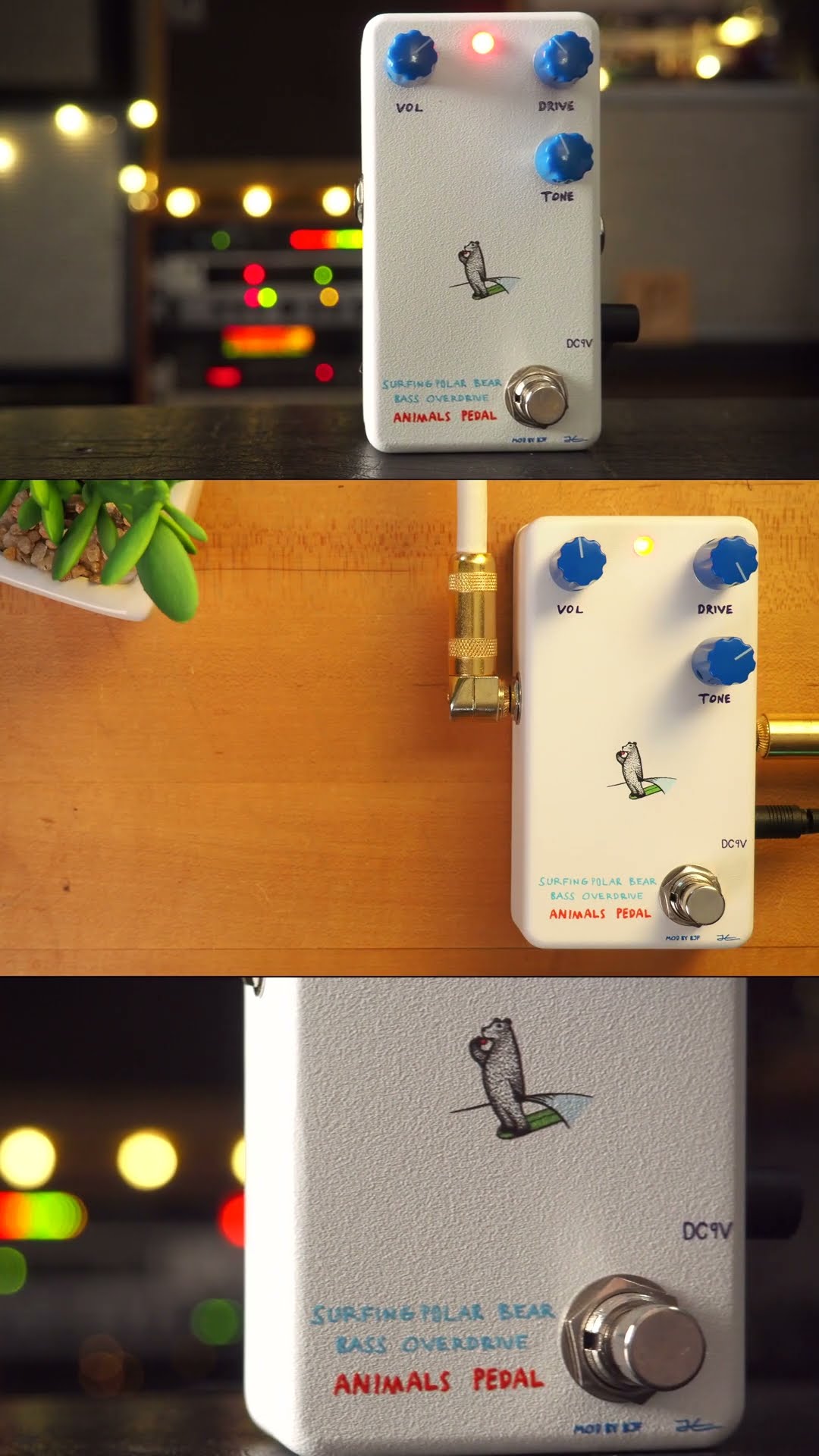 Animals Pedal Surfing Polar Bear Bass Overdrive #pedaloftheday