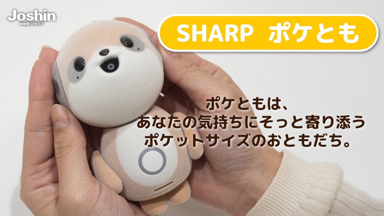 SHARP ポケとも ポケともとの会話を楽しもう｜Joshin 試用レポート