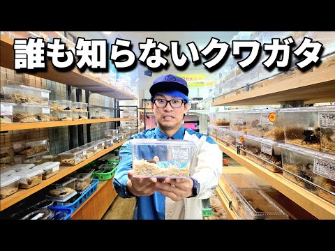 I went to one of the largest insect shops in the Kanto region for