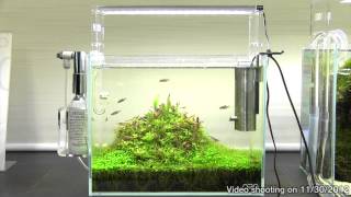 水草育成 ADA NATURE AQUARIUM VUPPA-II 水草育成 ADA NATURE AQUARIUM