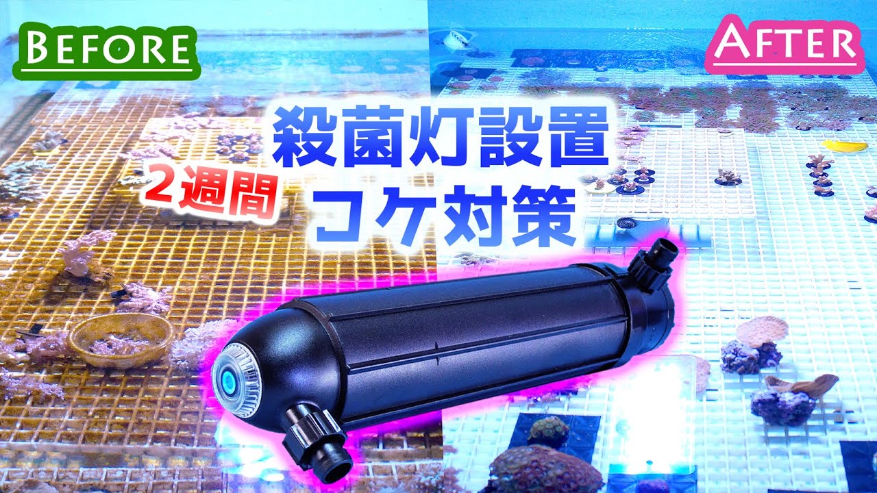 カミハタ ターボツイスト Z 36W 殺菌灯 【公式通販】 CORALIFE Turbo