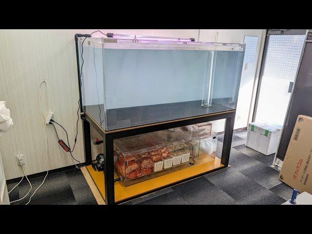 アクリル水槽 カンテツ 1800 400 350 水槽製作例『熱帯魚・アロワナ