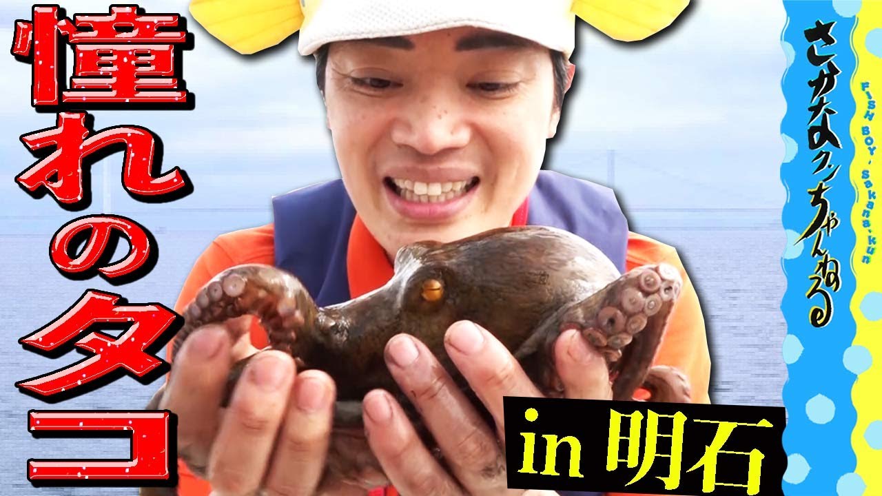 Octopoda Hunting] To the Akashi sea!! - YouTube