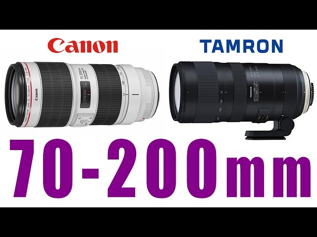 Camera] Have Tamron lenses really improved? We tried out the 
