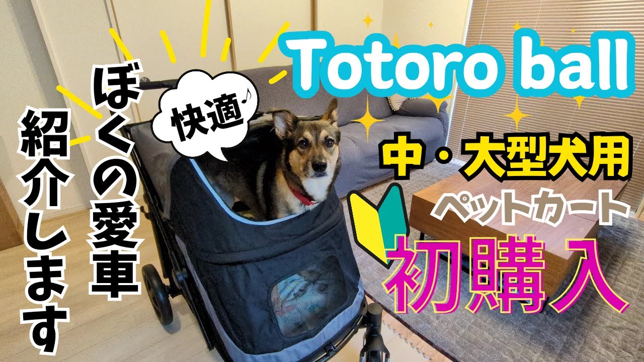Totoro ball] My first pet cart for medium and large dogs! Let's