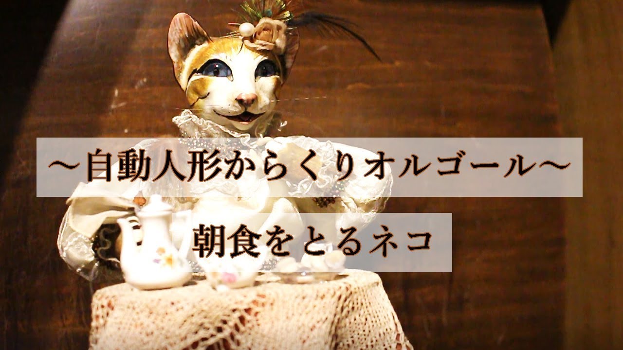 Otaru Music Box Hall No. 2. Antique Museum】The cat having
