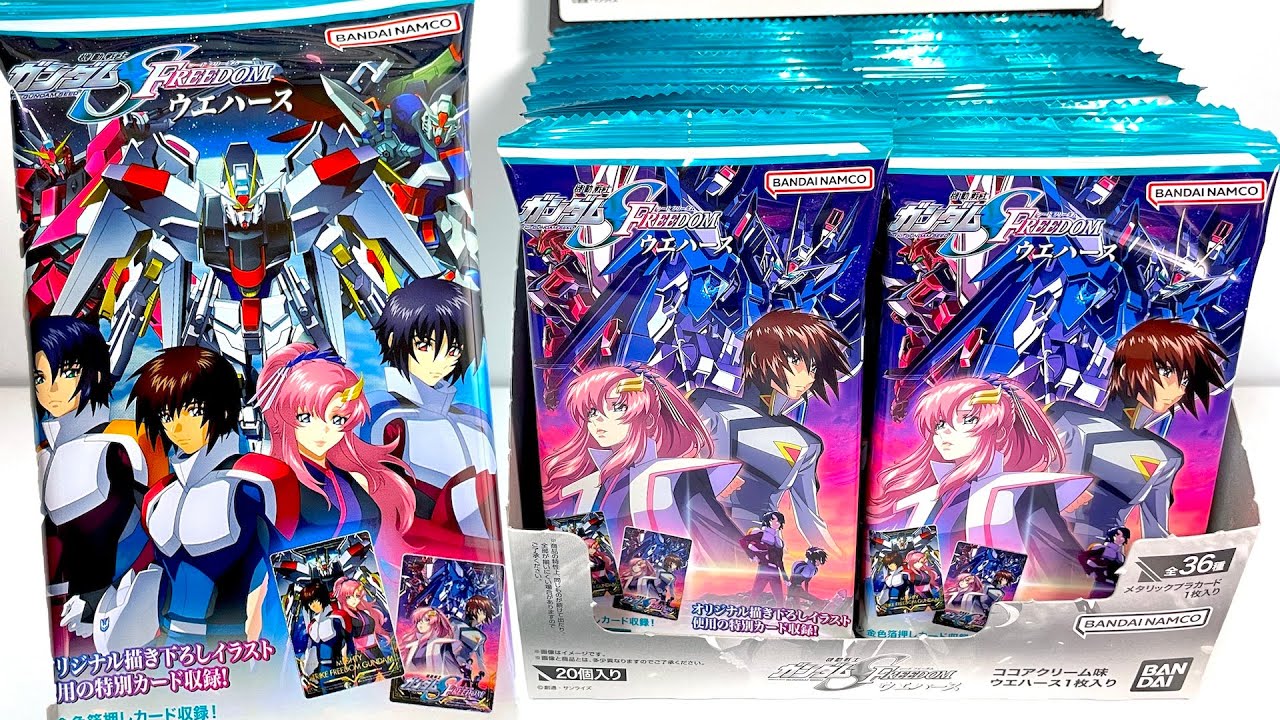 GUNDAM SEED FREEDOM Wafers 