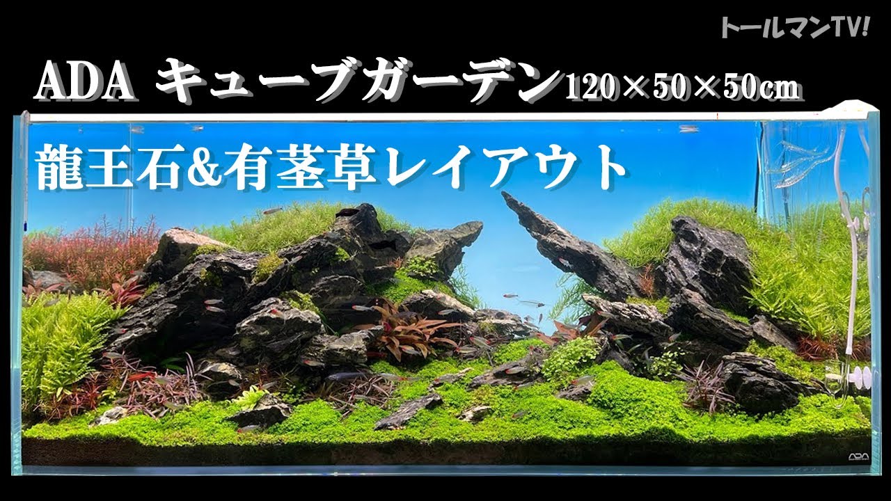 ADA 龍王石 水槽用石 ADA LAYOUT MATERIAL 「石」 | AQUA DESIGN AMANO