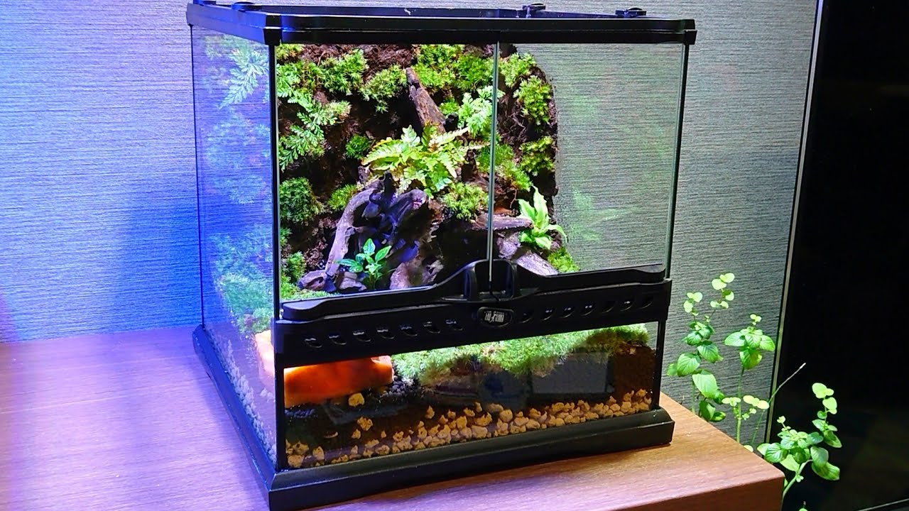 イモリウムを作る【part13】【パルダリウム】 - YouTube