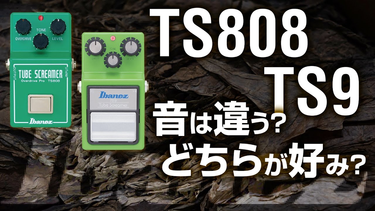Ibanez TS9とTS808。音は違う？一度は弾きたい定番エフェクター