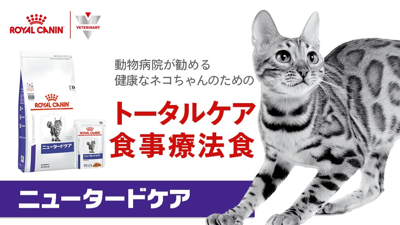 ロイヤルカナン Dライン 〈猫用〉 ニュータードケア 1.5kg