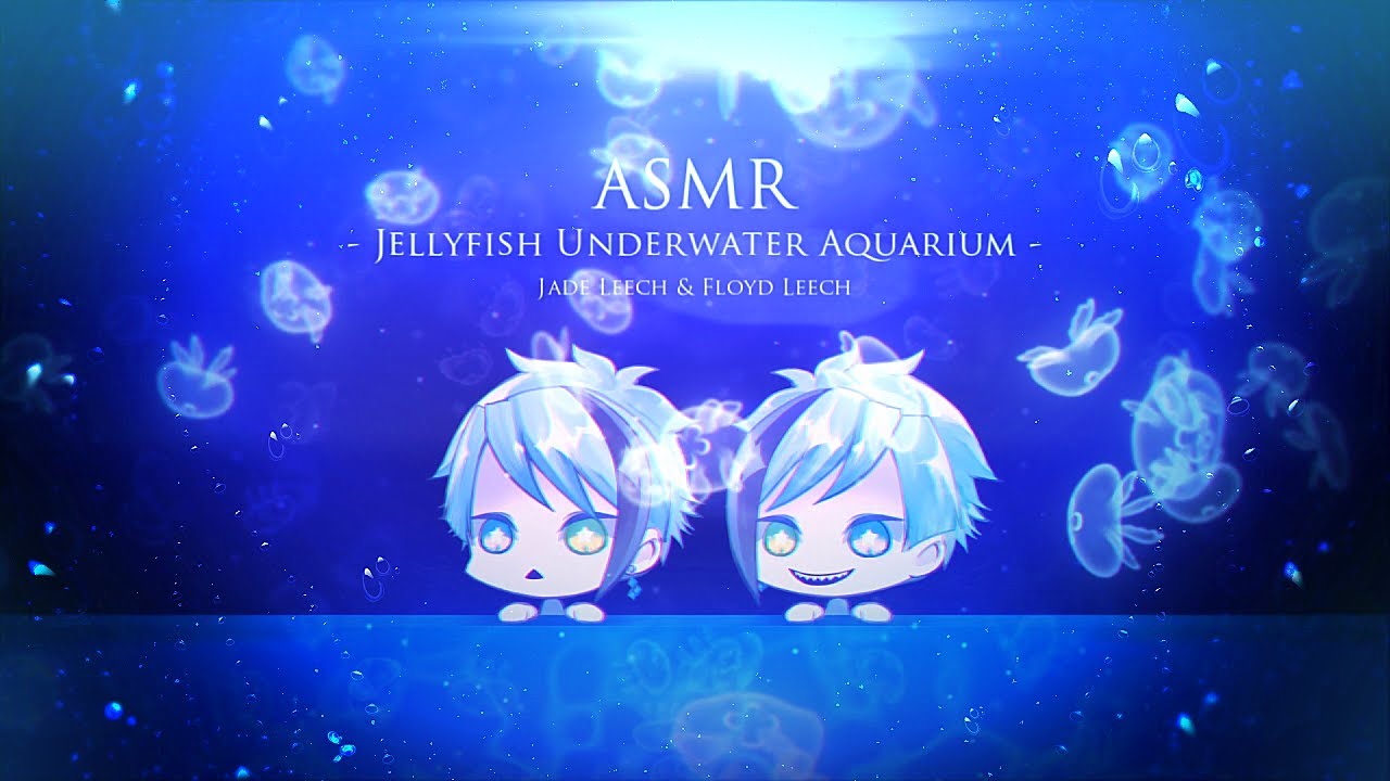 ASMRツイステ】🌓睡眠用🌗ジェイド・フロイドとクラゲを見続ける水中