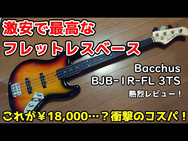 コスパ最強！バッカスの1万8千円激安フレットレスベースをレビュー