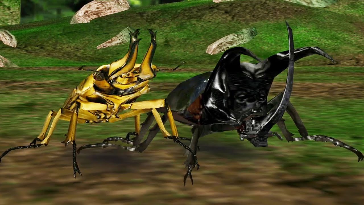 ネプチューンオオカブト タランドゥスツヤクワガタ アダー完結編