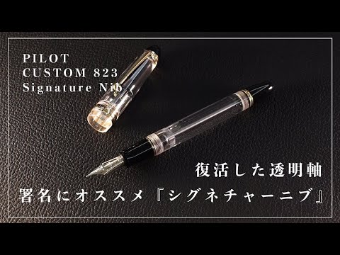 パイロットカスタムモザイク柄18KWGニブ