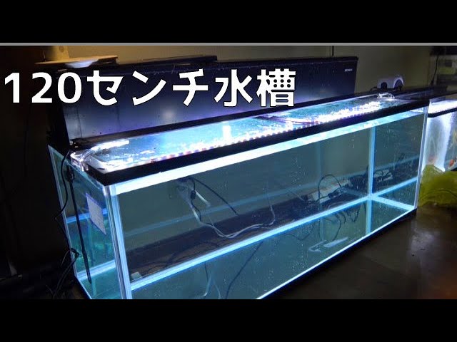 120cm水槽セット 購入レビュー【コトブキ】 - YouTube