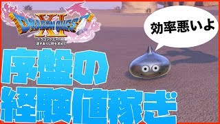 Dragon Quest XI] Where Metal Slimes appear early on, earning