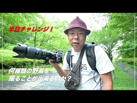 半日で何種類の野鳥写真をゲットできるのか？Z 8 & NIKKOR Z 100-400mm